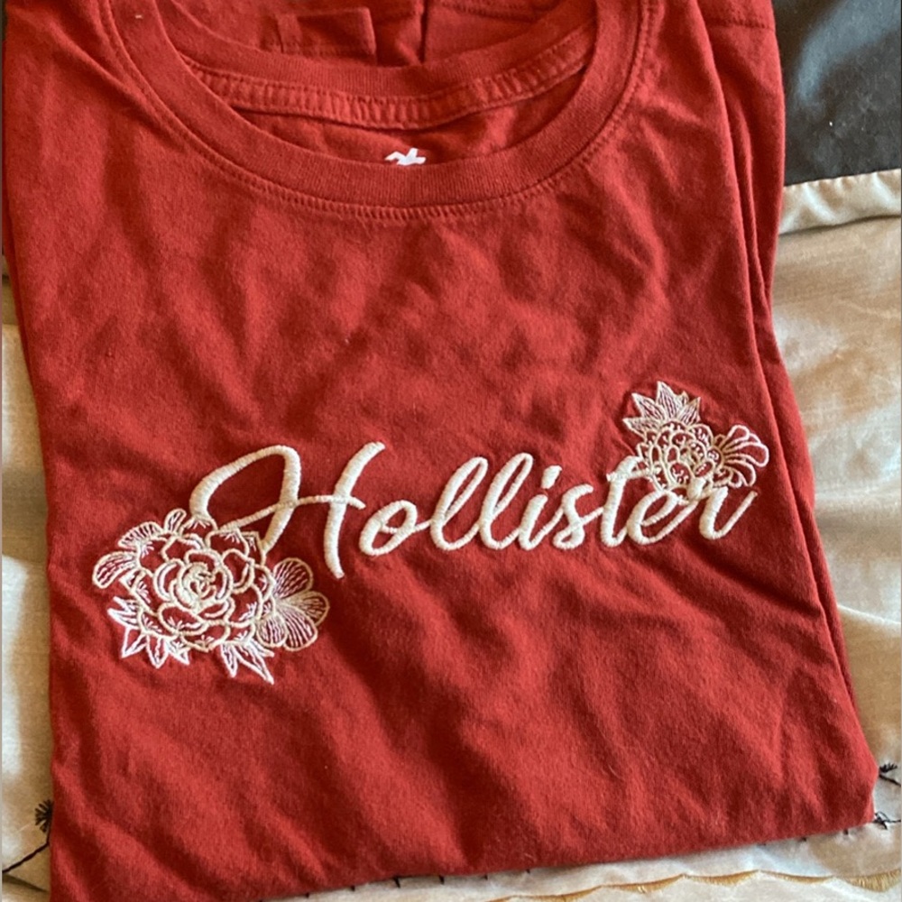 Embroidered Hollister t-Shirt